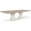 Jorlaina Extension Dining Table