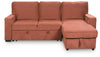 Stemmons 2-Piece Sectional with Pop Up Sleeper and Chaise