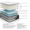 Limited Edition PT King Mattress (Malaysia Size)