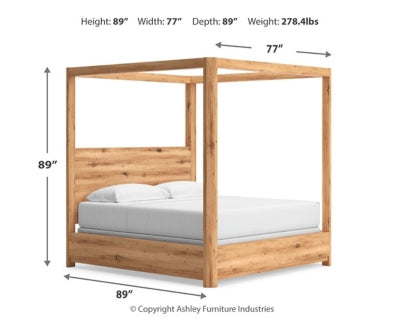 Bracken King Canopy Bed