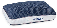 Whitney 14 cm Standard Pillow (4/CS)