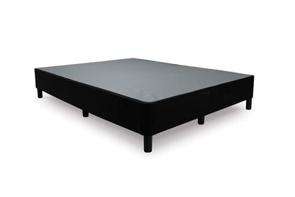 King Foundation M60X