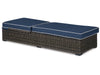 Grasson Lane Chaise Lounge with Cushion